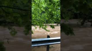 River Road Flooding June 3 2018 [upl. by Ayalahs]