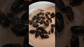 Creamy White Wine Garlic Mussels [upl. by Elleirb]