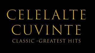 Celelalte Cuvinte  Greatest Hits live 14 nov 2024 [upl. by Lissy]