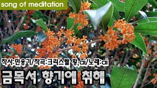 song of meditation 금목서 향기에 취해 작사민웅기작곡크리스탈황ai 노래ai [upl. by Chema]