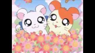 Hamtaro la sigla completa [upl. by Sterrett]