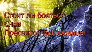 Стоит ли боятся Снов Пресвятой Богородицы [upl. by Ydnys376]