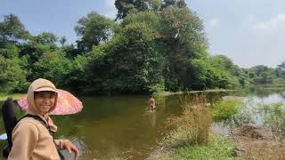 DETIK DETIK DI KEJAR BUAYA MUARA VIRAL LOKASI PENUH IKAN [upl. by Golliner37]