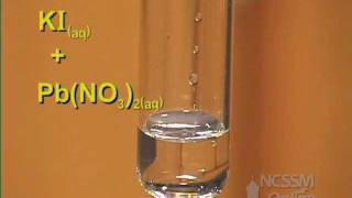 Double Displacement Lead Nitrate and Potassium Iodide [upl. by Efi264]