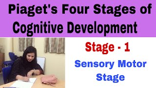 P12 Sensory Motor Stage  Piaget’s Four Stages Of Cognitive Development [upl. by Isia]