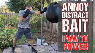 Annoy Distract Bait Then Hit These 3 Power Punches from Pawing Jabs Boxing MMA Fighting [upl. by Yespmed]