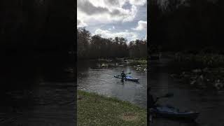 Rodman dam kayak launch [upl. by Najram]