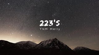 YNW Melly  223s Lyrics ft 9lokknine [upl. by Blackburn]