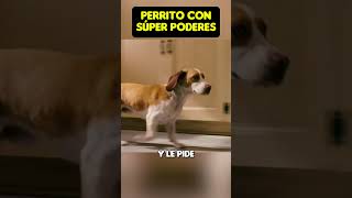 Un PERRITO con SUPER PODERES 😱 shorts viral pelicula [upl. by Ronoel]