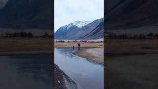 Ladakh tour Timelapse nature ladakh ladakhtrip ladakhbikeride kashmir ladakhstatus bgmi [upl. by Loginov]