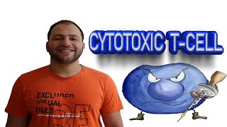 Cytotoxic Tcell activation [upl. by Imojean340]