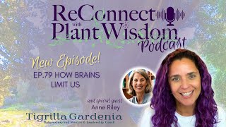 Ep79 How Brains Limit Us with Anne Riley  ReConnect with Plant Wisdom podcast [upl. by Meingolda]