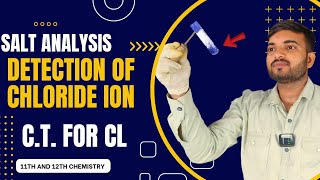 Test for Chloride ion salt analysis class 11th 12th chemistry saltanalysis a2zpractical991 [upl. by Afihtan]