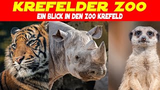 Fotowalk im Krefelder Zoo Tierfotografie amp die besten Fotospots entdecken [upl. by Hazel]