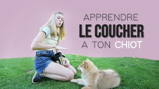 APPRENDRE LE COUCHER À TON CHIOT tuto facile [upl. by Laet872]