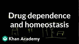 Drug dependence and homeostasis  Processing the Environment  MCAT  Khan Academy [upl. by Nedle]