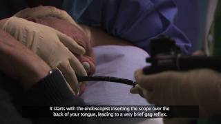 Bournemouth Digestive Diseases Centre Gastroscopy Procedure Subtitled [upl. by Enaerb]