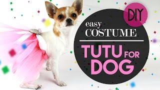 DOG TUTU EASY COSTUME  COSTUME PER CANE TUTU  DIY [upl. by Kirven]