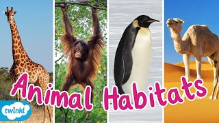 What Are The Different Animal Habitats  Animal Habitats Compilation for Kids [upl. by Rye]