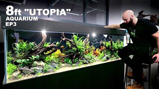 Building Utopia 8ft Planted Aquarium FINAL [upl. by Bohlen]