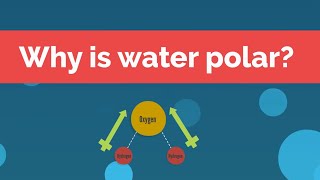 Why is water polar [upl. by Llien]