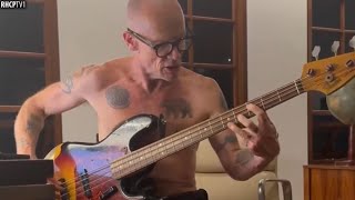 Flea Playing Jaco Pastorius Incredible [upl. by Aynna699]