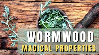 Wormwood loose herb  magical properties of wormwood [upl. by Edylc]