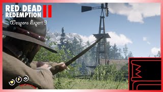 Red Dead Redemption 2 Weapons Expert 9 [upl. by Eednac206]