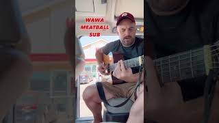 Wawa Meatball Sub The Song  Billy DeCristofano [upl. by Zigrang386]