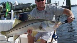 Punta Gorda Isles PGI Snook Tarpon Redfish Charters Chew On This and Capt Dave Hoke [upl. by Ynove]