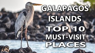 Volcanic Paradise Unveiled Top 10 Galapagos Wonders [upl. by Eelram]