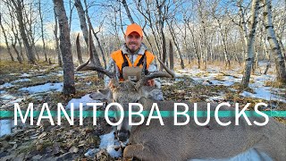 MANITOBA WHITETAIL DEER HUNTING 9 DAY HUNT BIG MANITOBA BUCKS [upl. by Conner]