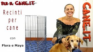 Recinti per Cuccioli e Cani adulti quando usarli e tipologie  PERILCANEIT [upl. by Benedetta]