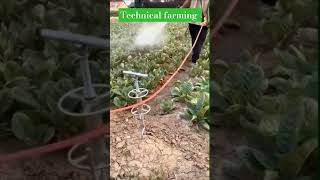 Agriculture Technology ai farming trending harvesting paddy ytshorts shortvideo viralvideo [upl. by Salena]