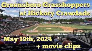 Greensboro Grasshoppers at Hickory Crawdads  Movie Clips [upl. by Ijuy]