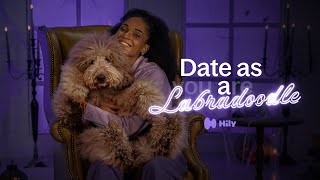 Official message from the Hily dating app [upl. by Lajet]