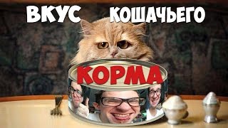 ПОПРОБОВАЛ 12 КОШАЧЬИХ КОРМОВ НА ВКУС [upl. by Ketti]