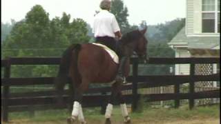 Find The Lameness in the horse wwwscienceofmotioncom [upl. by Annnora359]