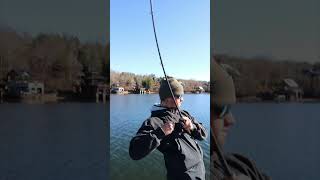 How to fish the new Berkley Krej [upl. by Ayahs]