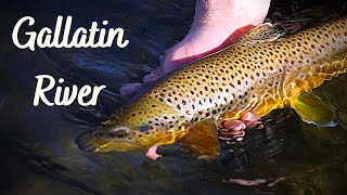 Fly Fishing Trip to the Scenic Gallatin River [upl. by Lanahtan231]