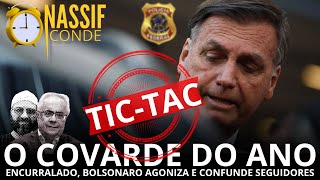 O covarde do ano encurralado Bolsonaro agoniza com Nassif amp Conde  Afinando a Notícia [upl. by Eirolav]