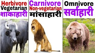 Herbivore vegetarian Carnivorenonvegetarian and Omnivore शाकाहारी मांसाहारी और सर्वाहारी [upl. by Nolie]