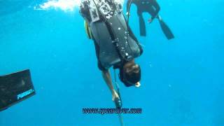 Spearfishing Isla De Pinos Cuba Pesca Submarina [upl. by Liw746]