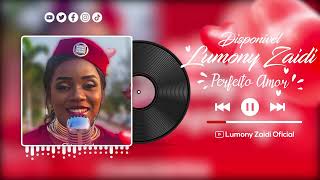 Lumony ZaidiPerfeito Amor MP3 [upl. by Eniledgam777]