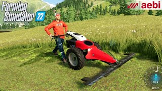 Farming Simulator 22  AEBI CC66 Motor Mower Mowing Grass On The Farm [upl. by Goto]