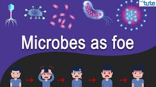 MicroOrganism and its Types  Biology  Letstute [upl. by Roberson]