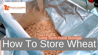 How To Store Wheat LongTerm Food Storage [upl. by Sidky]