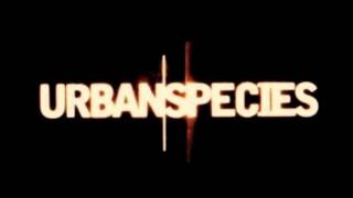 urban species musikism [upl. by Kcub618]