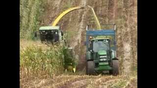 John Deere 7750i Prodrive cutting maize [upl. by Ybok376]