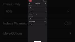 Exporting a Custom Size Photo in Lightroom Mobile [upl. by Fink147]
